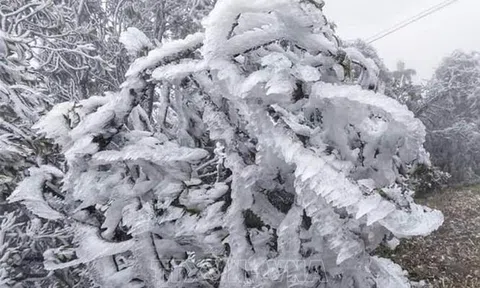 Dự báo thời tiết 22/1: Miền Bắc đón đợt không khí lạnh rất mạnh, dự báo nơi rét đậm nhất