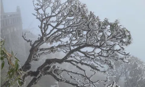 Khi nào miền Bắc chấm dứt rét đậm, rét hại?