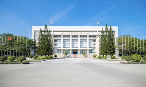 11 trường Việt vào bảng xếp hạng thế giới: Thêm trường, thêm ngành, nhưng bức tranh có sự phân hóa