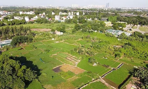 Thu hồi đất khi 75% đồng thuận, người dân có được lợi không?