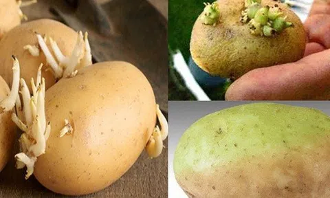 7 loại thực phẩm tưởng chừng an toàn nhưng có thể chứa chất độc: Gia đình bạn nên kiểm tra ngay