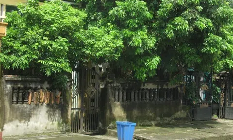 Cửa nhà có 3 thứ này, cả người lẫn của đều lao đao: Sai lầm phong thủy nhà nào cũng nên tránh