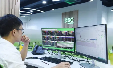 Chứng khoán DSC lập đỉnh lợi nhuận 2025, bứt tốc mạnh nhờ margin và tự doanh