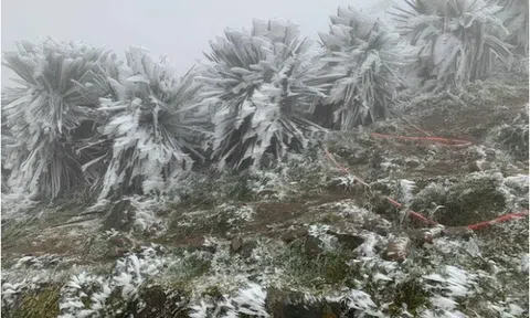 Dự báo thời tiết 24/1: Miền Bắc đón đợt không khí lạnh cường độ mạnh, dự báo nơi rét nhất