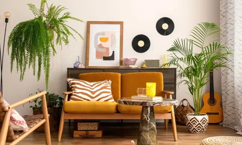 Loại cây được dự đoán ‘hot nhất năm 2026’: ‘Hút’ bụi mịn, lọc không khí cực đỉnh