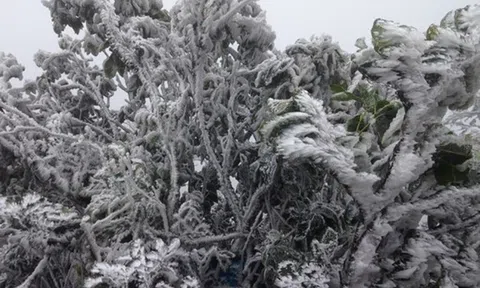 Miền Bắc duy trì trạng thái rét sâu dưới 9 độ C, sắp tăng cường đợt không khí lạnh mới?