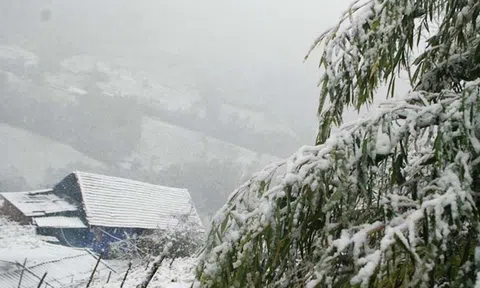 Ngoài mặc đồ giữ ấm tốt, bác sĩ nói có 2 thứ cần đảm bảo để tạo lớp “áo giáp mềm” cho cơ thể: Không sợ đột quỵ, hạ đường huyết!