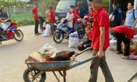 Giữa mùa thưởng Tết, một công ty gây sốc với phần quà "biết đi" lạ đời khiến dư luận xôn xao