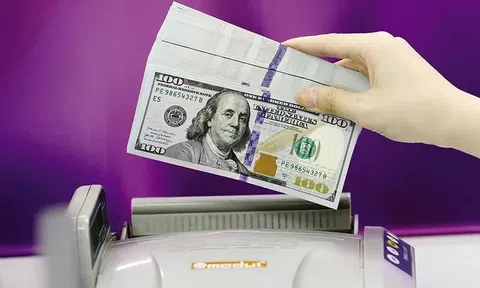 Hơn 10 tỷ USD kiều hối đổ về TP.HCM