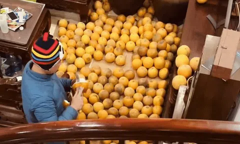 Trung bình nhà miền Bắc mỗi dịp Tết: Càng xem càng dejavu, cảnh tượng này trong mơ cũng vẫn ám ảnh