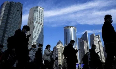 Vì sao người trẻ ngày càng khó tìm việc?