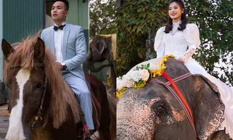 Đám cưới cưỡi voi, cưỡi ngựa độc nhất Việt Nam của cặp NSƯT xiếc