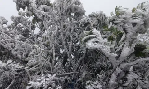 Miền Bắc duy trì trạng thái rét sâu dưới 9 độ C, sắp tăng cường đợt không khí lạnh mới?