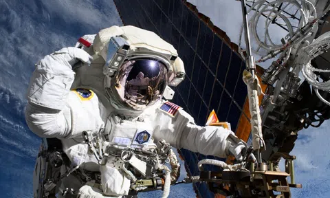 Nghiên cứu chấn động của NASA: 98% trẻ em là thiên tài nhưng một lỗi sai của cha mẹ đã khiến con số này chỉ còn 2% khi trưởng thành