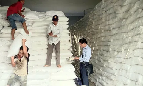 Hơn 4.100 tấn gạo từ kho dự trữ quốc gia hỗ trợ 5 tỉnh dịp Tết và giáp hạt