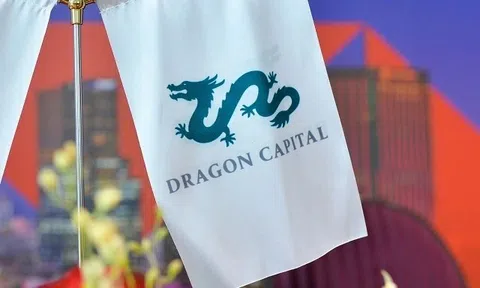Dragon Capital giảm một nửa lợi nhuận