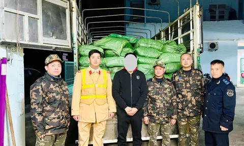 Hải quan chặn đứng thực phẩm đông lạnh và thuốc lá nhập lậu