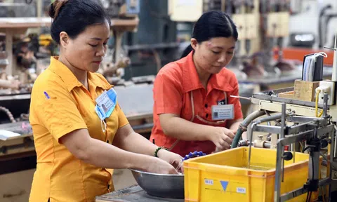 Số công ty Nhật Bản có lãi tại Việt Nam cao kỷ lục