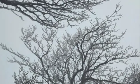 Dự báo thời tiết 29/1: Không khí lạnh tăng cường tràn về, miền Bắc sắp bước vào đợt rét diện rộng