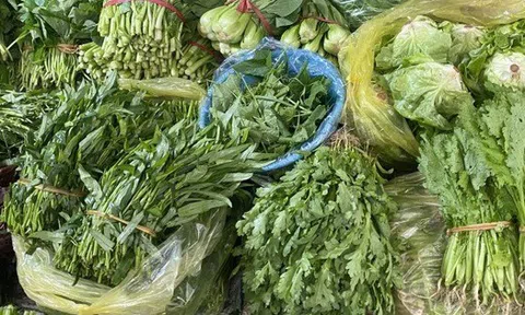 Loại rau tốt nhất thế giới, được chấm 100/100 điểm, chợ Việt bán từ 25.000 đồng/kg