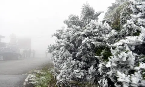 Dự báo thời tiết 31/1: Miền Bắc đón đợt không khí lạnh cường độ cực mạnh, nơi rét nhất bao nhiêu độ?