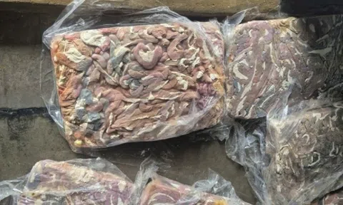 Điều gì xảy ra với cơ thể nếu ăn lòng heo ôi thiu?