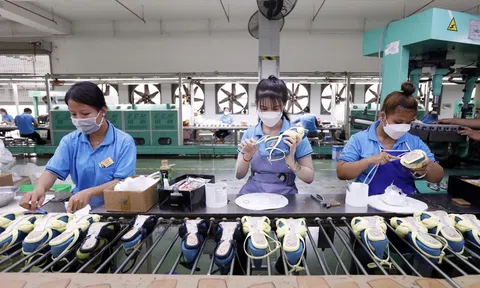 Hơn 54.000 doanh nghiệp gia nhập và tái gia nhập thị trường trong tháng 1/2026