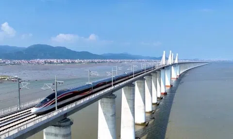 Sắp khởi công đường sắt tốc độ cao Hà Nội - Quảng Ninh