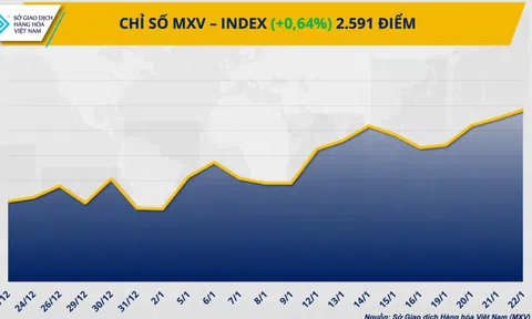 THỊ TRƯỜNG HÀNG HÓA: Bạc lập đỉnh lịch sử, MXV-Index nối dài chuỗi tăng phiên thứ ba