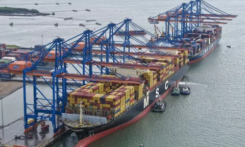 Việt Nam sẽ dẫn đầu tăng trưởng thương mại ASEAN