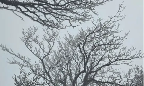 Dự báo thời tiết 29/1: Không khí lạnh tăng cường tràn về, miền Bắc sắp bước vào đợt rét diện rộng