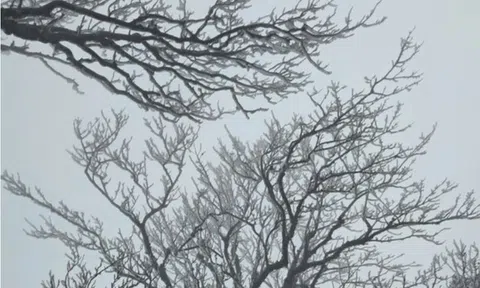 Đợt không khí lạnh mới cực mạnh bao phủ, miền Bắc chuyển rét đậm, có nơi dưới 8 độ