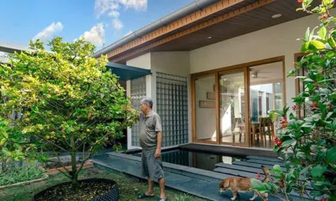 Gần Tết, nếu trong nhà xuất hiện 4 dấu hiệu này, rất có thể gia chủ sắp đón tài lộc, tiền bạc rủng rỉnh: Đặc biệt là điều số 2