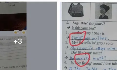 Tin mới vụ giáo viên tiếng Anh sửa nhiều bài thi ở Gia Lai