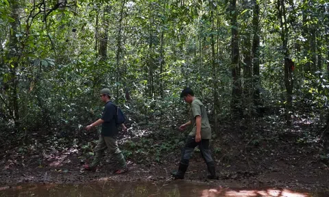 Đồng Nai sắp làm 13 km đường trên cao xuyên rừng Mã Đà