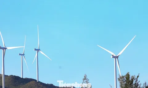 Gia Lai gọi vốn cho 12 dự án năng lượng tái tạo