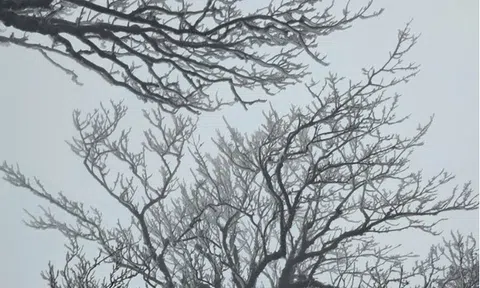 Miền Bắc liên tiếp đón không khí lạnh cường độ mạnh, trời rét đậm