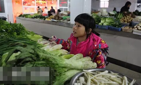 Bé gái 13 tuổi ngày nào cũng cầm đúng 3.800 đồng đi mua rau, chủ tiệm theo dõi rồi sững sờ trước sự thật