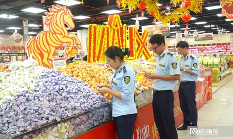 Cao điểm Tết Nguyên đán Bính Ngọ 2026, Lâm đồng xử lý 204 vụ vi phạm, xử phạt hành chính hơn 1,8 tỷ đồng