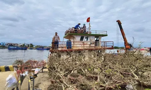 Tàu thuyền hối hả "chở Tết" ra đảo Lý Sơn