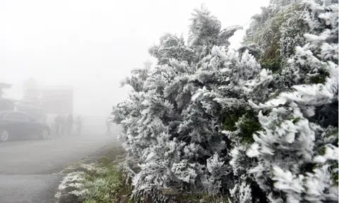 Miền Bắc sắp đón đợt rét buốt nhất, nguy cơ xảy ra băng giá và sương muối