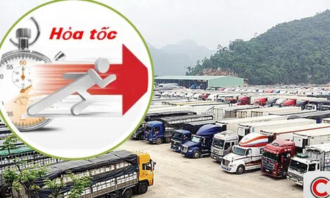 Cục Hải quan chỉ đạo hỏa tốc sau khi tạm dừng Nghị định 46: Kích hoạt trực 24/7, ưu tiên thông quan hàng thực phẩm nhập khẩu