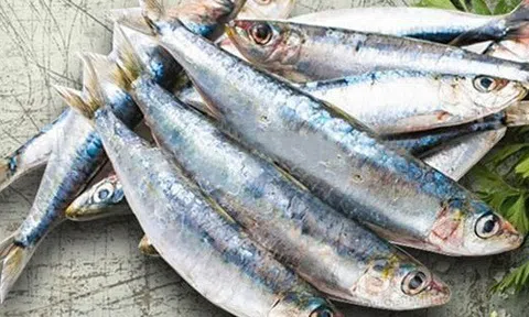 7 loại cá tích tụ thủy ngân nhiều bậc nhất