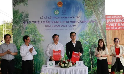 Từ kỷ lục Guinness đến 1 triệu cây xanh: Unilever và chiến lược "hồi sinh" rừng Việt Nam