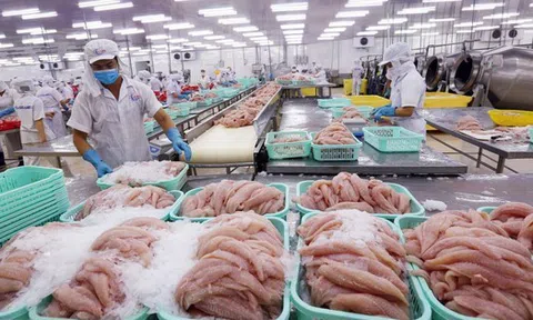 Ngành kinh tế tỷ đô của Việt Nam khởi sắc, Trung Quốc đóng vai trò then chốt