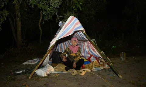 "Ăn sương, nằm gió" trên hè phố canh hoa Tết, tiểu thương kỳ vọng dịp đắt hàng nhất năm