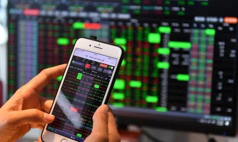 Nhà đầu tư nước ngoài vừa được cấp một 'đặc quyền' tại Việt Nam