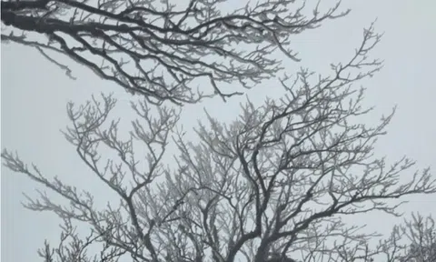 Dự báo thời tiết 9/2: Miền Bắc dồn dập đón đợt không khí lạnh mạnh, dự báo nơi rét đậm nhất