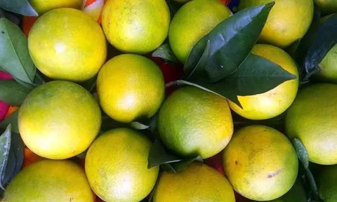 Đặt 2 loại quả này trong phòng ngủ và bạn sẽ nhận thấy điều kỳ diệu xảy ra với cơ thể