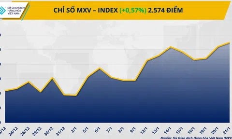 Giằng co trái chiều, thị trường hàng hóa nguyên liệu tiếp tục phân hóa